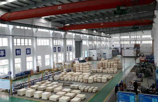 新起点，新征程 科洋科技以技术进出口驱动工厂智能化升级